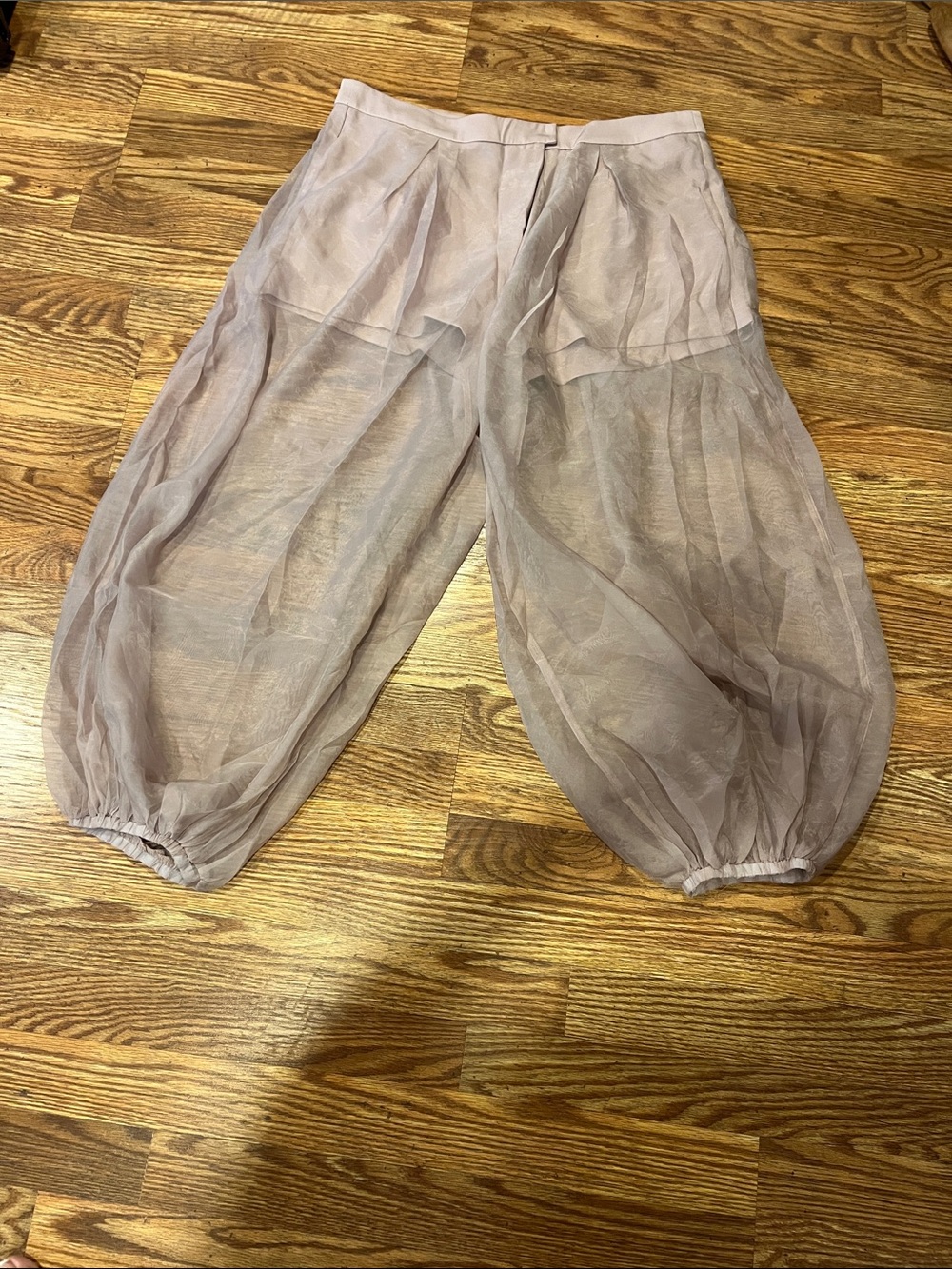 Sheer pants/shorts
